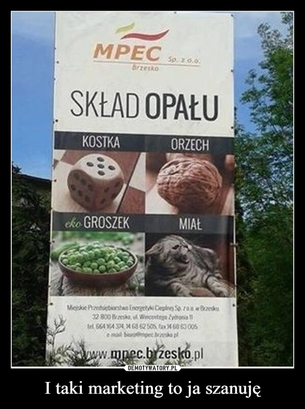 
    I taki marketing to ja szanuję