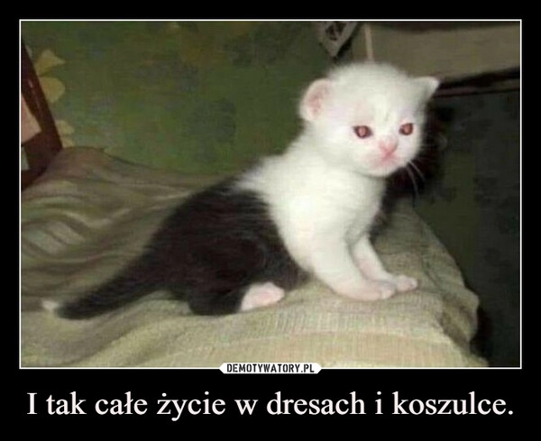 
    I tak całe życie w dresach i koszulce.