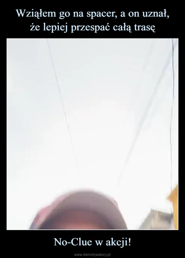 
    Wziąłem go na spacer, a on uznał, że lepiej przespać całą trasę No-Clue w akcji!