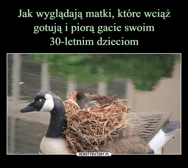 
    Jak wyglądają matki, które wciąż gotują i piorą gacie swoim 30-letnim dzieciom