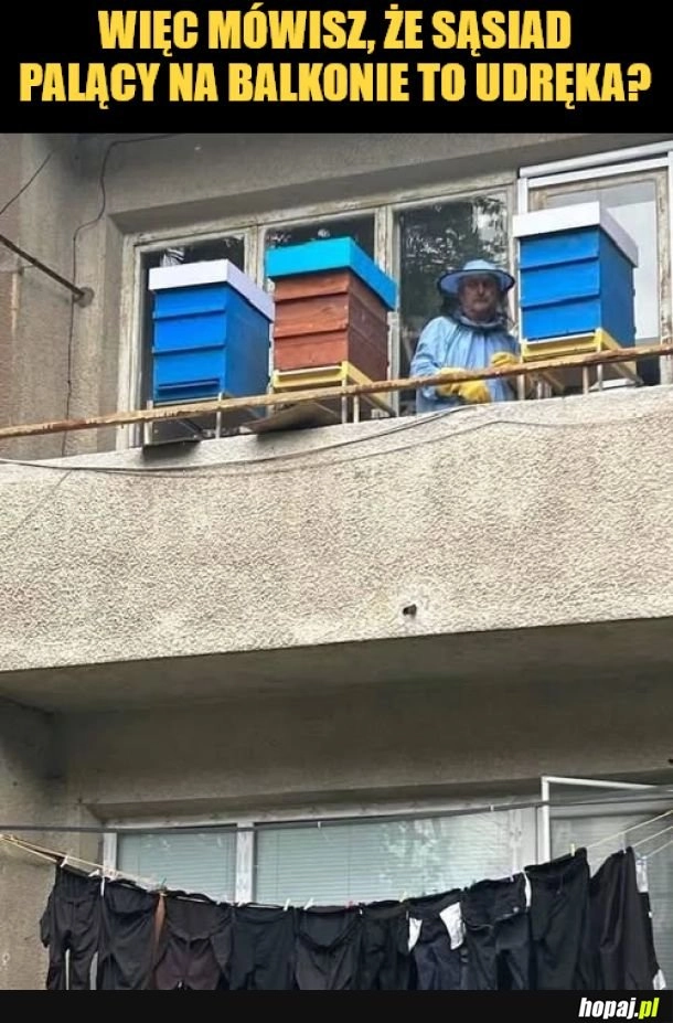 
    Sąsiad.