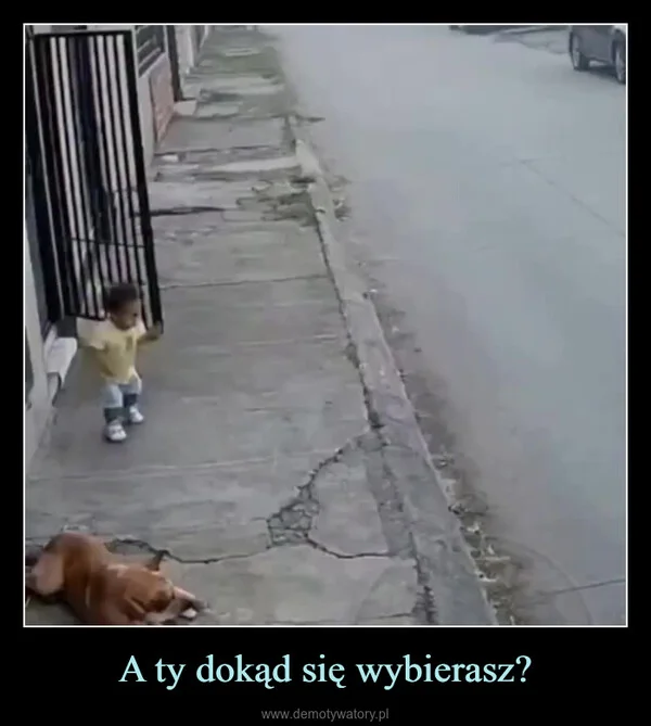 
    A ty dokąd się wybierasz?