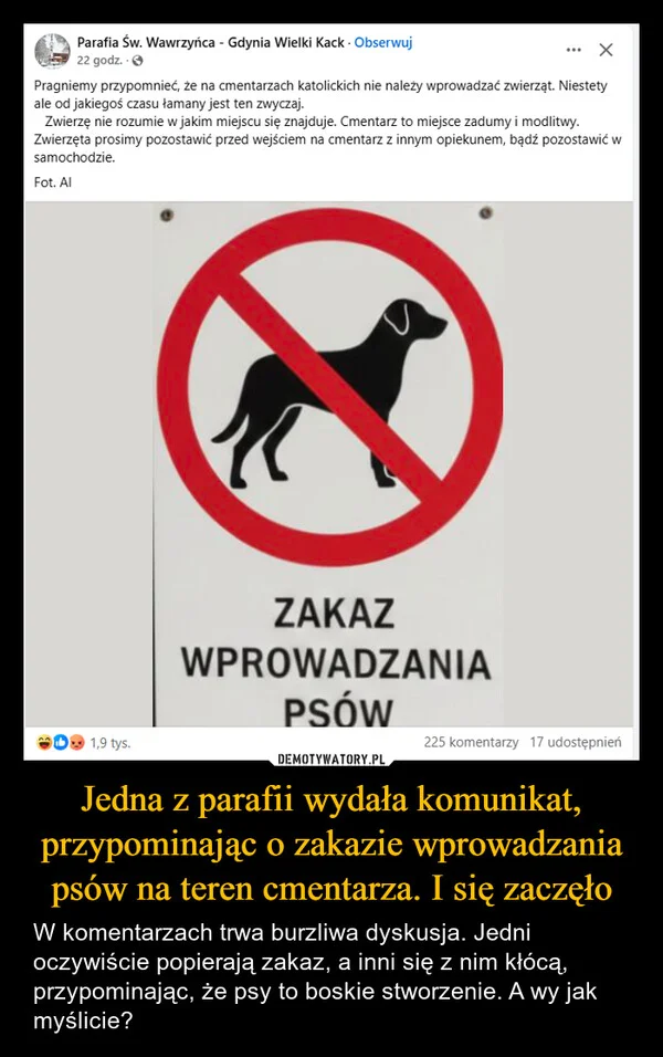 
    Jedna z parafii wydała komunikat, przypominając o zakazie wprowadzania psów na teren cmentarza. I się zaczęło