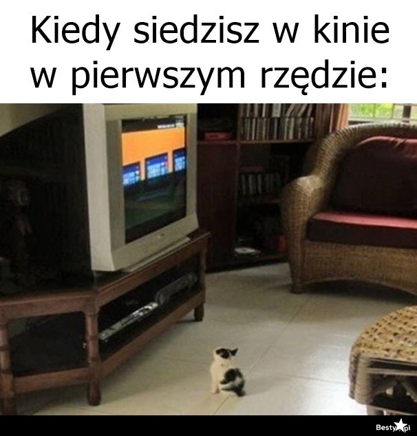 
    Pierwszy rząd w kinie 