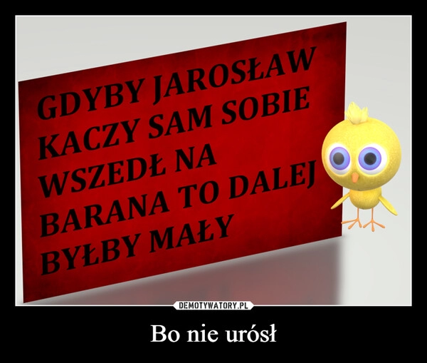 
    Bo nie urósł