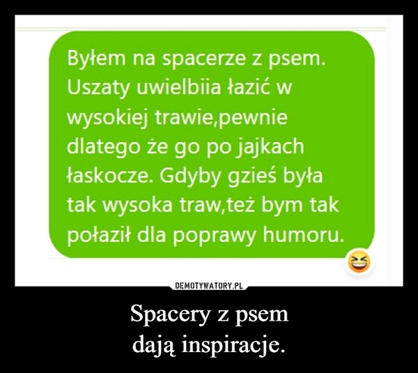 
    Spacery z psem
dają inspiracje.