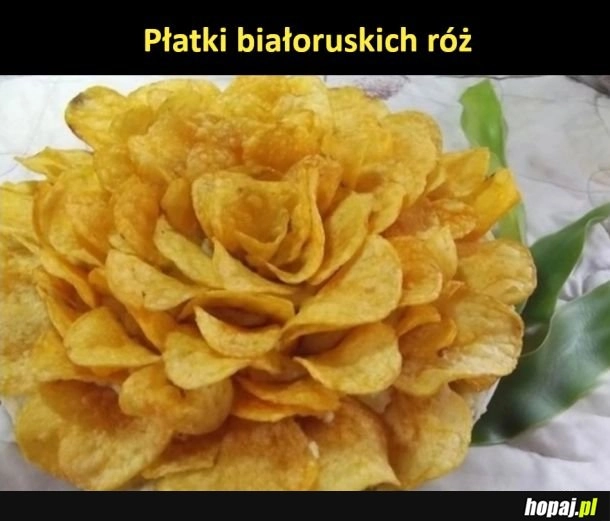 
    Białoruskie róże