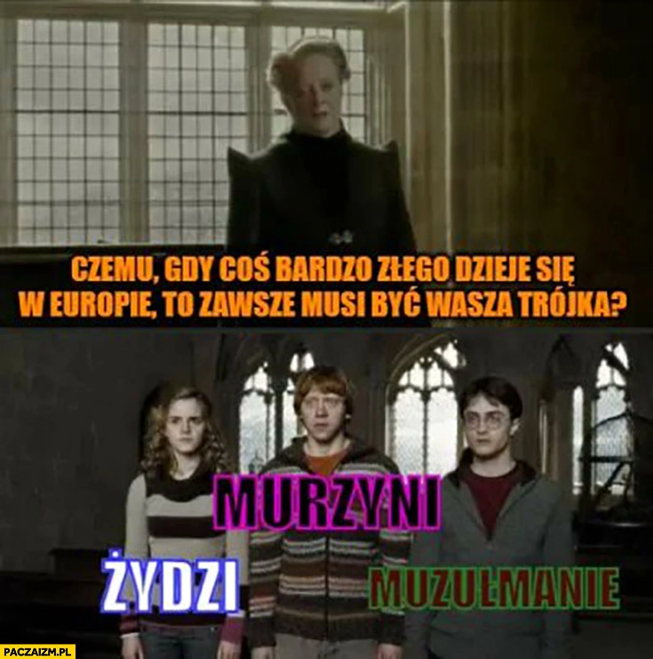 
    Czemu gdy coś bardzo złego dzieje się w Europie to zawsze musi być wasza trójka Żydzi Murzyni Muzułmanie Harry Potter