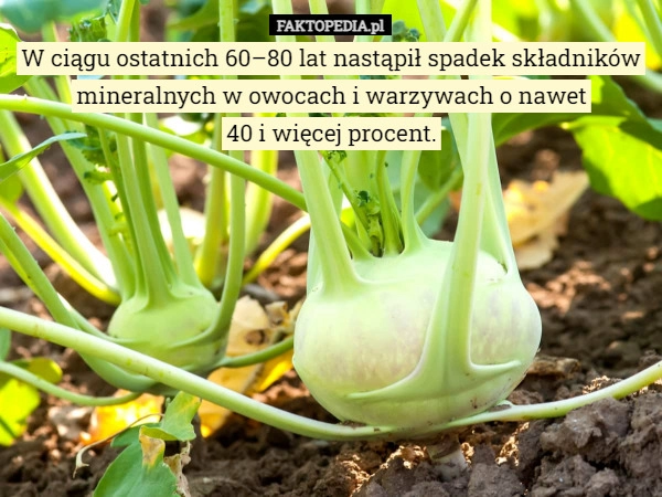 
    W ciągu ostatnich 60–80 lat nastąpił spadek składników mineralnych w owocach