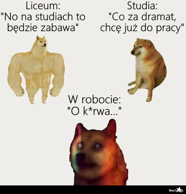 
    Różne etapy życia 