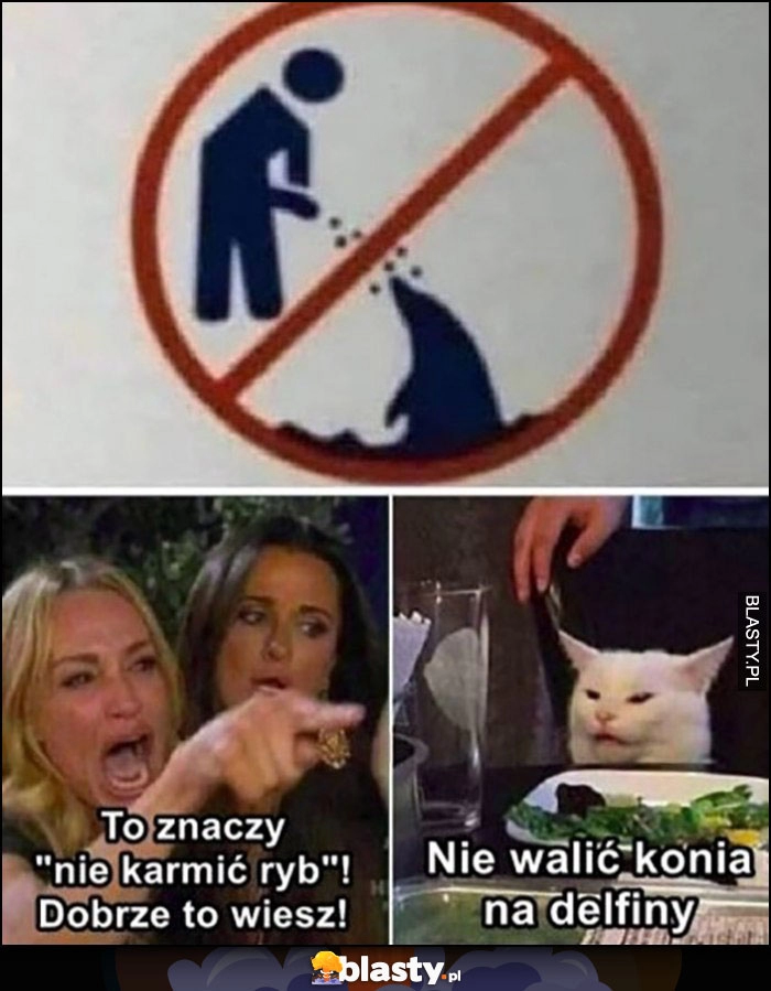 
    To znaczy nie karmić ryb znak nie walić konia na delfiny