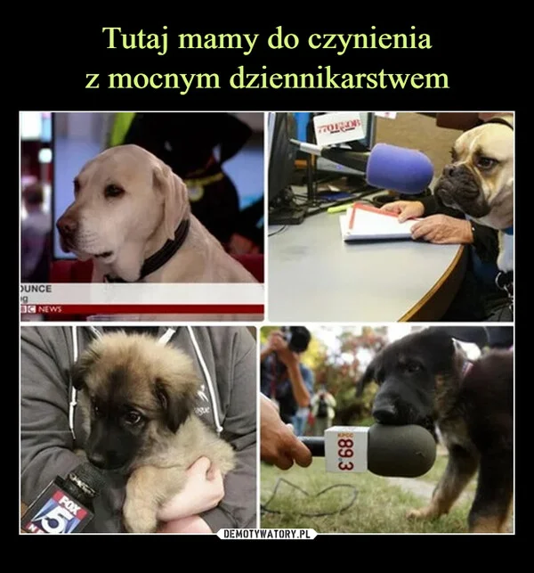 
    Tutaj mamy do czynienia z mocnym dziennikarstwem
