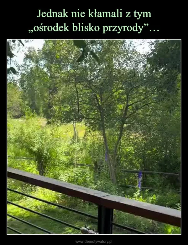 
    Jednak nie kłamali z tym „ośrodek blisko przyrody”…