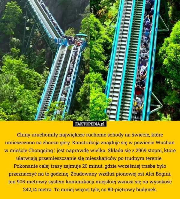 
    Chiny uruchomiły największe ruchome schody na świecie, które umieszczono