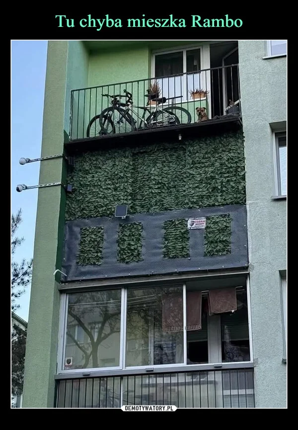 
    Tu chyba mieszka Rambo