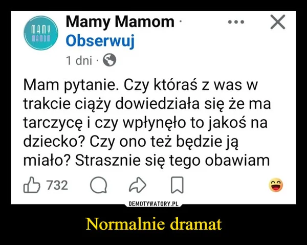 Normalnie dramat