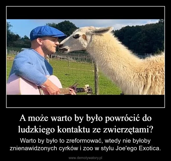 A może warto by było powrócić do ludzkiego kontaktu ze zwierzętami?
