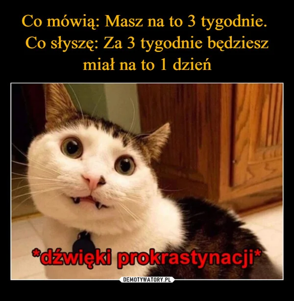 
    Co mówią: Masz na to 3 tygodnie. Co słyszę: Za 3 tygodnie będziesz miał na to 1 dzień