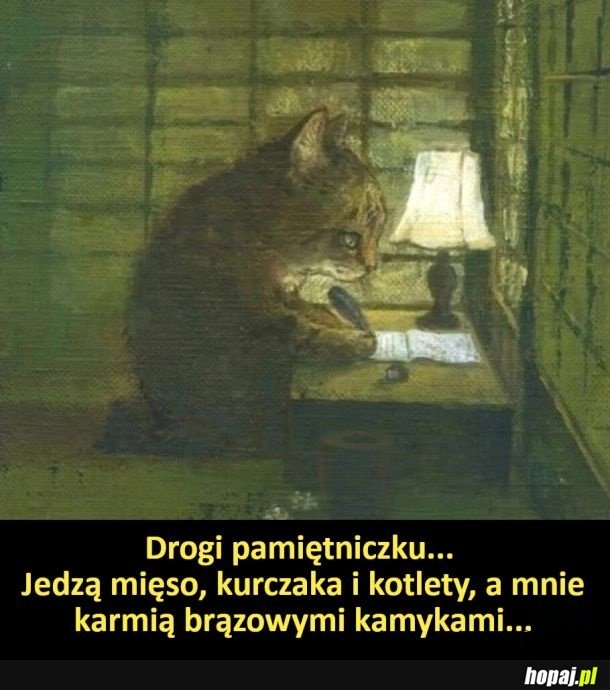 
    Biedny kiciuś