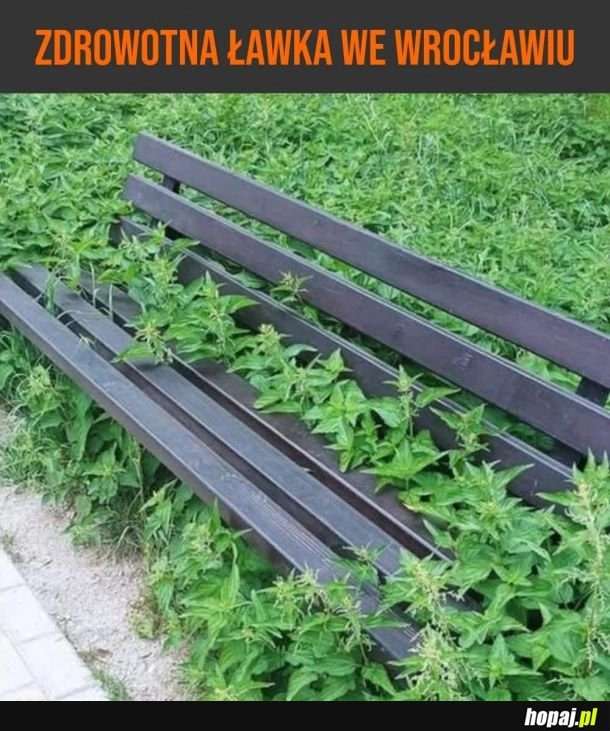 
    Przynajmniej żaden menel na niej nie spał XD