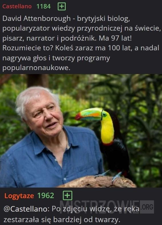 
    David Attenborough