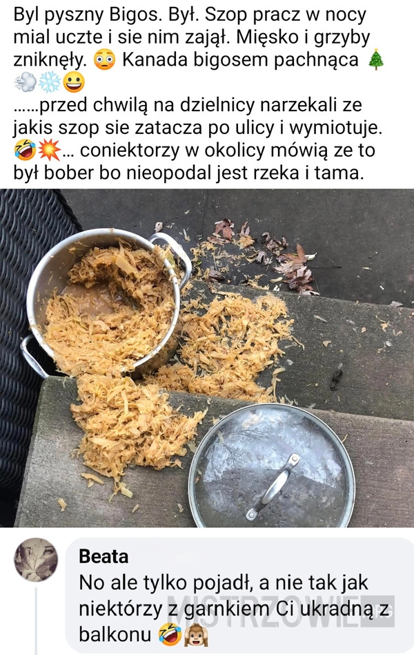 
    Bigos