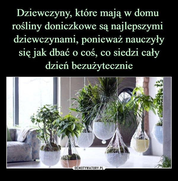 
    Dziewczyny, które mają w domu  rośliny doniczkowe są najlepszymi  dziewczynami, ponieważ nauczyły się jak dbać o coś, co siedzi cały dzień bezużytecznie