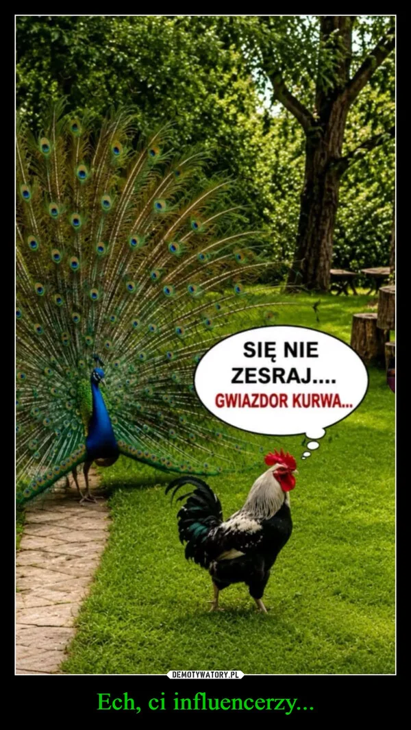 
    Ech, ci influencerzy...