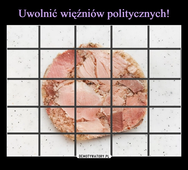 
    Uwolnić więźniów politycznych!