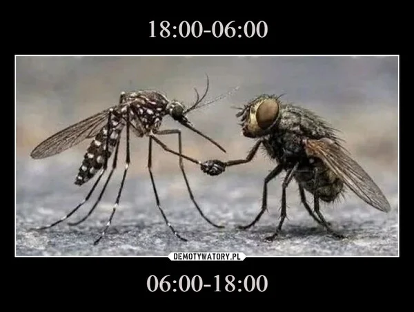 
    18:00-06:00 06:00-18:00