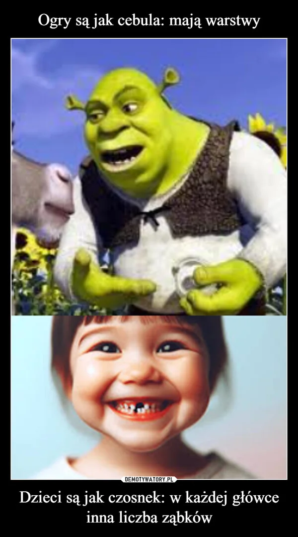 
    Ogry są jak cebula: mają warstwy Dzieci są jak czosnek: w każdej główce inna liczba ząbków