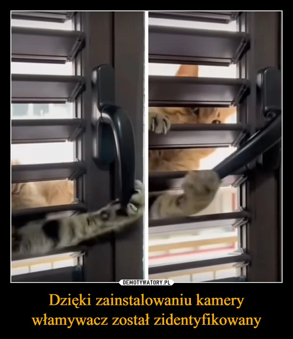 
    Dzięki zainstalowaniu kamery włamywacz został zidentyfikowany