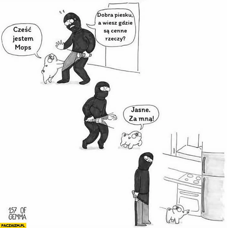 Złodziej cześć jestem mops, dobra piesku gdzie są cenne rzeczy? Jasne, za mną! Pokazuje lodówkę