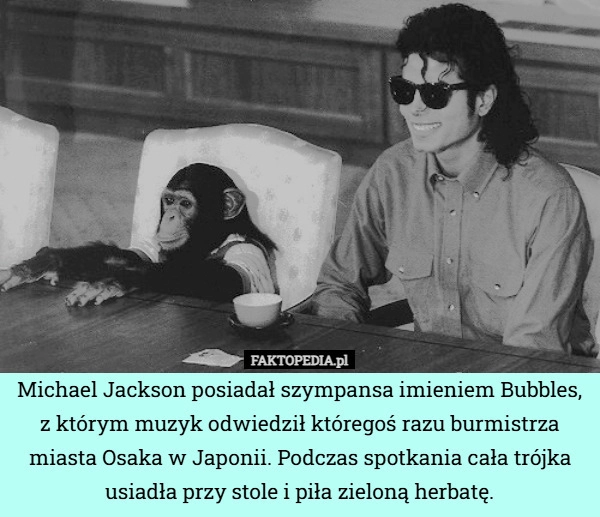 
    Michael Jackson posiadał szympansa imieniem Bubbles, z którym muzyk odwiedził
