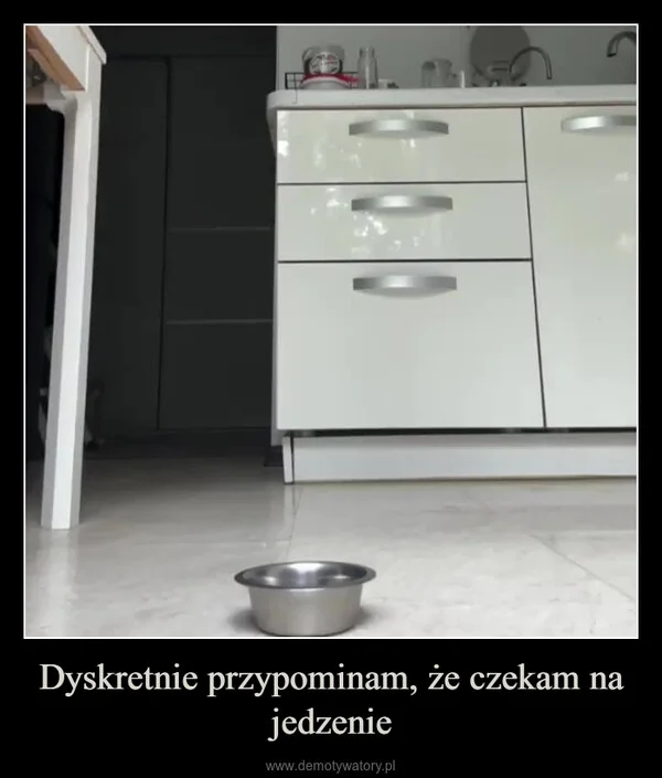 
    Dyskretnie przypominam, że czekam na jedzenie