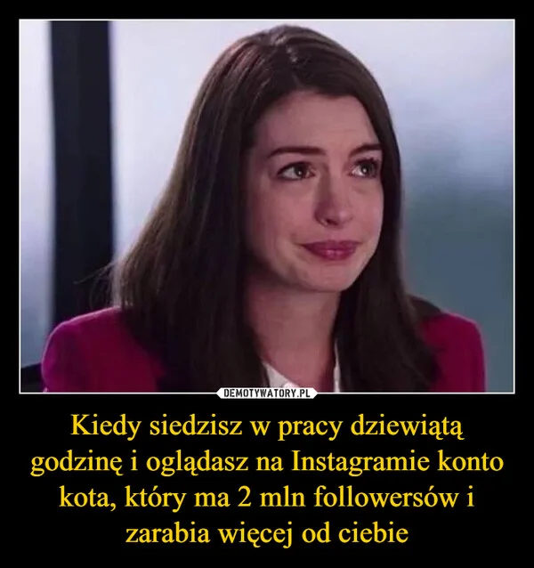 Kiedy siedzisz w pracy dziewiątą godzinę i oglądasz na Instagramie konto kota, który ma 2 mln followersów i zarabia więcej od ciebie