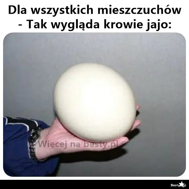 
    Info dla mieszczuchów 