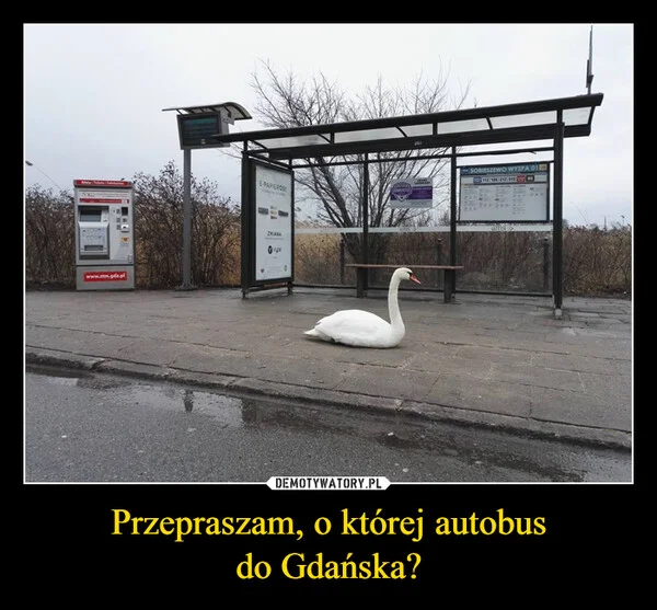 
    Przepraszam, o której autobus do Gdańska?