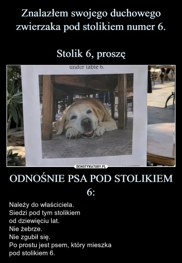 
    Znalazłem swojego duchowego zwierzaka pod stolikiem numer 6. Stolik 6, proszę ODNOŚNIE PSA POD STOLIKIEM 6: