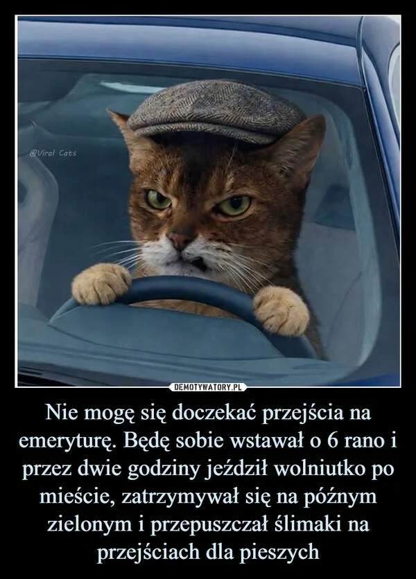 Nie mogę się doczekać przejścia na emeryturę. Będę sobie wstawał o 6 rano i przez dwie godziny jeździł wolniutko po mieście, zatrzymywał się na późnym zielonym i przepuszczał ślimaki na przejściach dla pieszych
