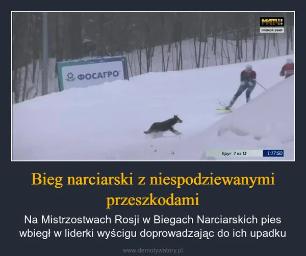 
    Bieg narciarski z niespodziewanymi przeszkodami