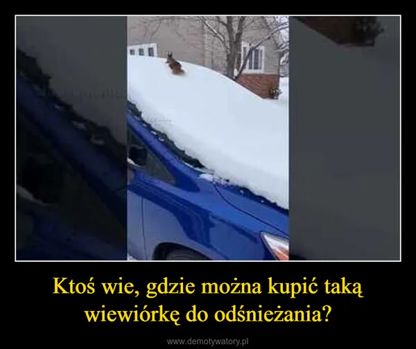 
    Ktoś wie, gdzie można kupić taką wiewiórkę do odśnieżania?