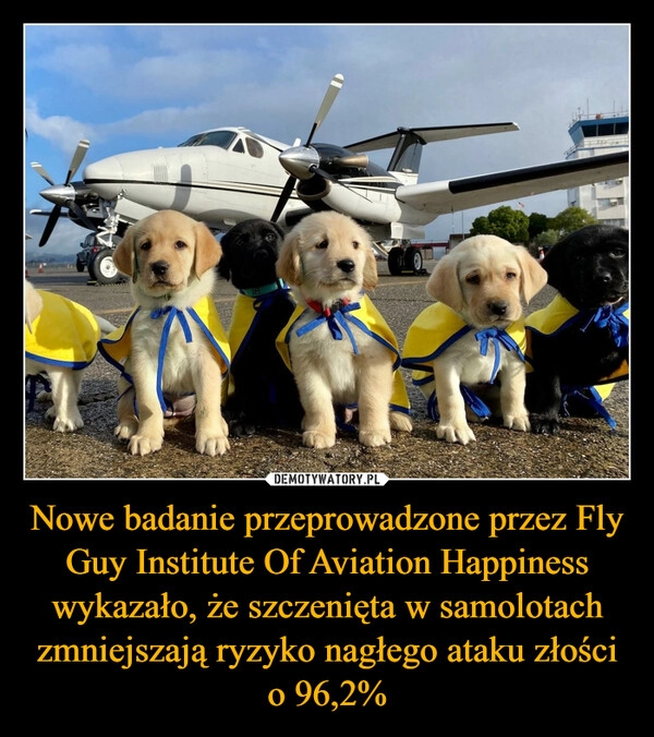 
    Nowe badanie przeprowadzone przez Fly Guy Institute Of Aviation Happiness wykazało, że szczenięta w samolotach zmniejszają ryzyko nagłego ataku złości o 96,2%