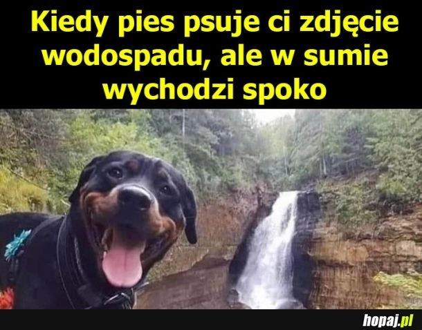 
    Pięknie wyszło