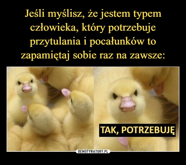 
    Jeśli myślisz, że jestem typem człowieka, który potrzebuje przytulania i pocałunków to zapamiętaj sobie raz na zawsze: