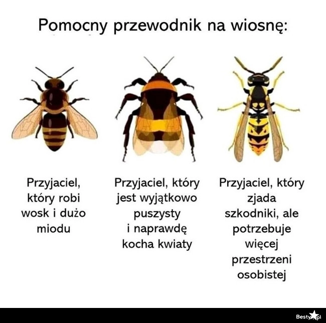 
    Pomocny przewodnik na wiosnę