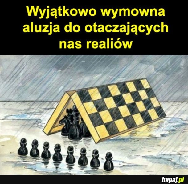 
    Wymowna aluzja