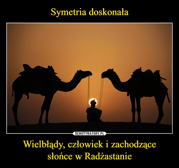 
    Symetria doskonała Wielbłądy, człowiek i zachodzące
słońce w Radżastanie