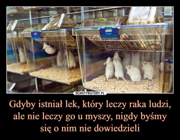 
    Gdyby istniał lek, który leczy raka ludzi, ale nie leczy go u myszy, nigdy byśmy się o nim nie dowiedzieli