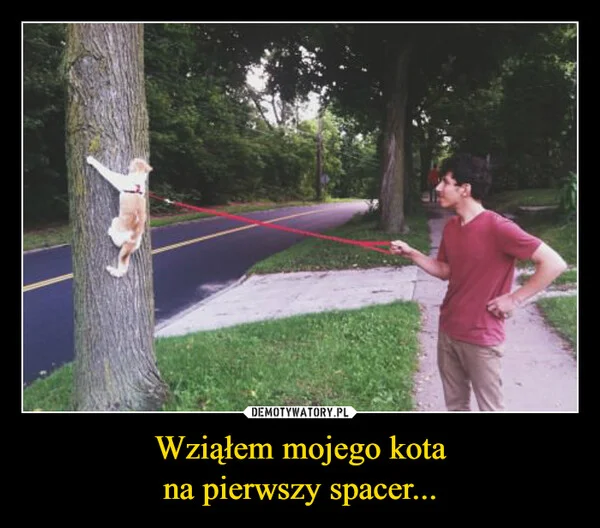 
    Wziąłem mojego kota na pierwszy spacer...